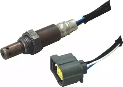 hoffer-7481636