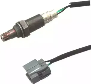 hoffer-7481640