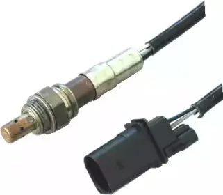 hoffer-7481641