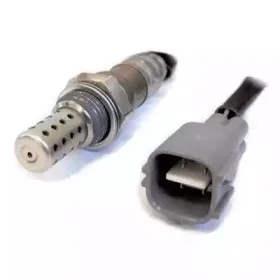 hoffer-7481642