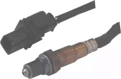 hoffer-7481644
