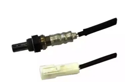 hoffer-7481645