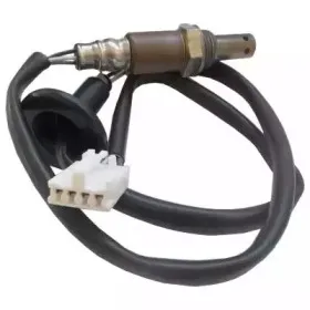 hoffer-7481646