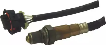 hoffer-7481647