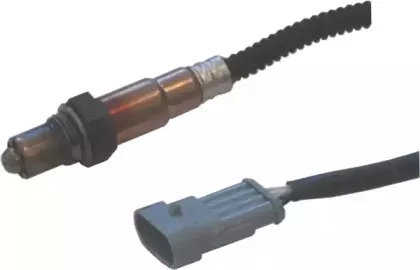 hoffer-7481648