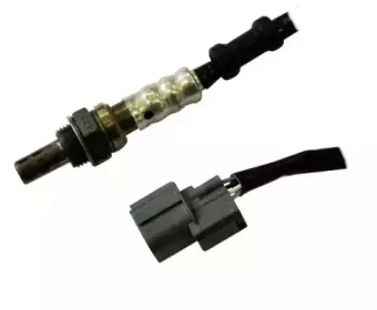 hoffer-7481650