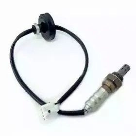 hoffer-7481652