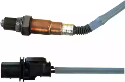 hoffer-7481653