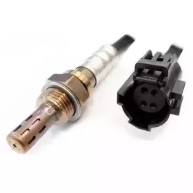 hoffer-7481657