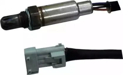 hoffer-7481661