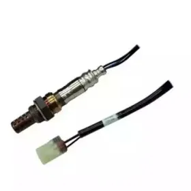 hoffer-7481665