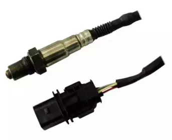 hoffer-7481666