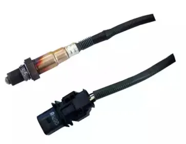 hoffer-7481667