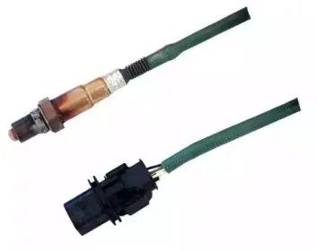hoffer-7481669