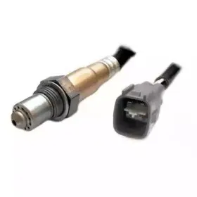 hoffer-7481670
