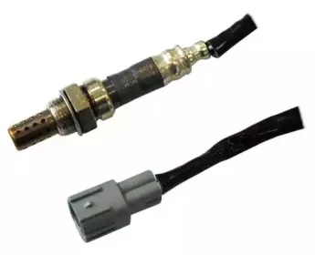 hoffer-7481671