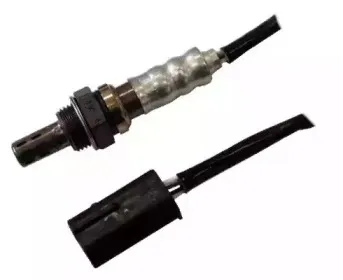 hoffer-7481675