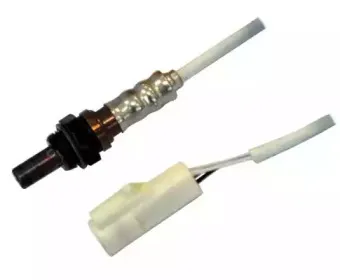 hoffer-7481676