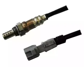 hoffer-7481677