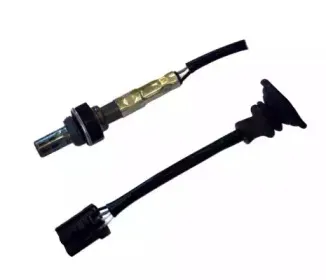hoffer-7481679
