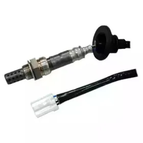 hoffer-7481680
