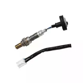 hoffer-7481681