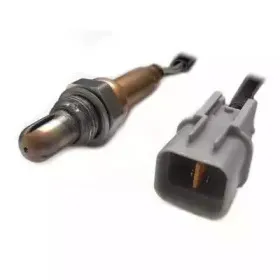 hoffer-7481682