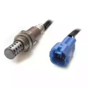 hoffer-7481689