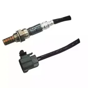 hoffer-7481690
