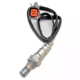 hoffer-7481691