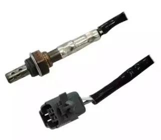 hoffer-7481692