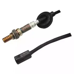 hoffer-7481693