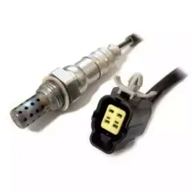 hoffer-7481696