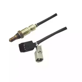 hoffer-7481698