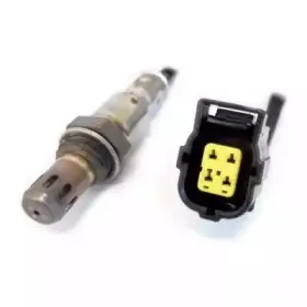 hoffer-7481706