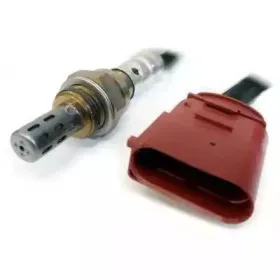 hoffer-7481707