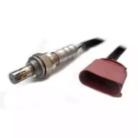 hoffer-7481708