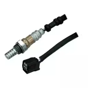hoffer-7481723