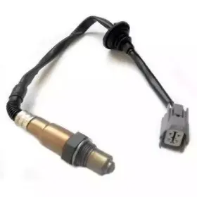 hoffer-7481724