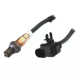 hoffer-7481733