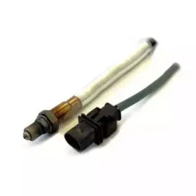 hoffer-7481735