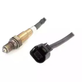 hoffer-7481737