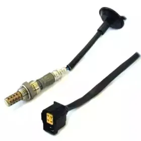 hoffer-7481738