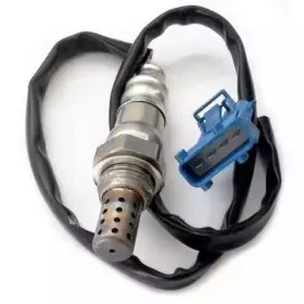hoffer-7481744
