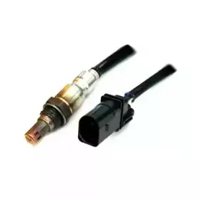 hoffer-7481750