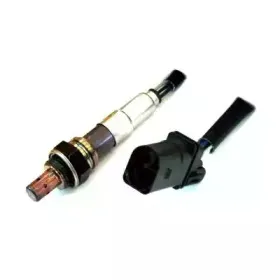 hoffer-7481753