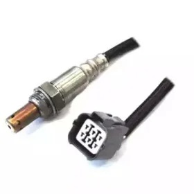 hoffer-7481760