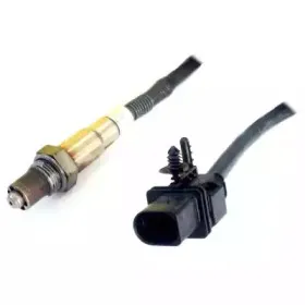 hoffer-7481763