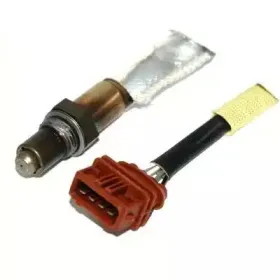hoffer-7481772