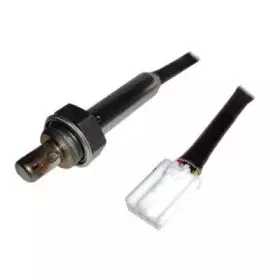 hoffer-7481775